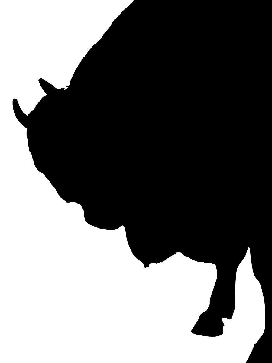 a black silhouette of an animal on a white background