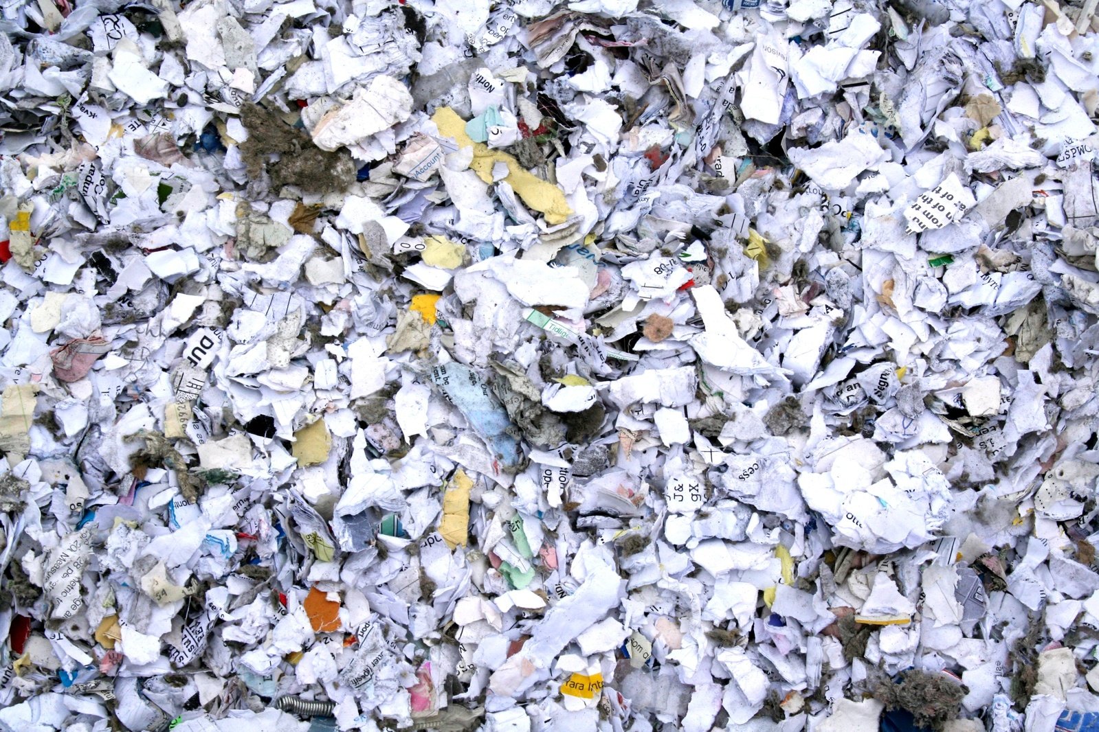 an up close view of a pile of shredded up paper