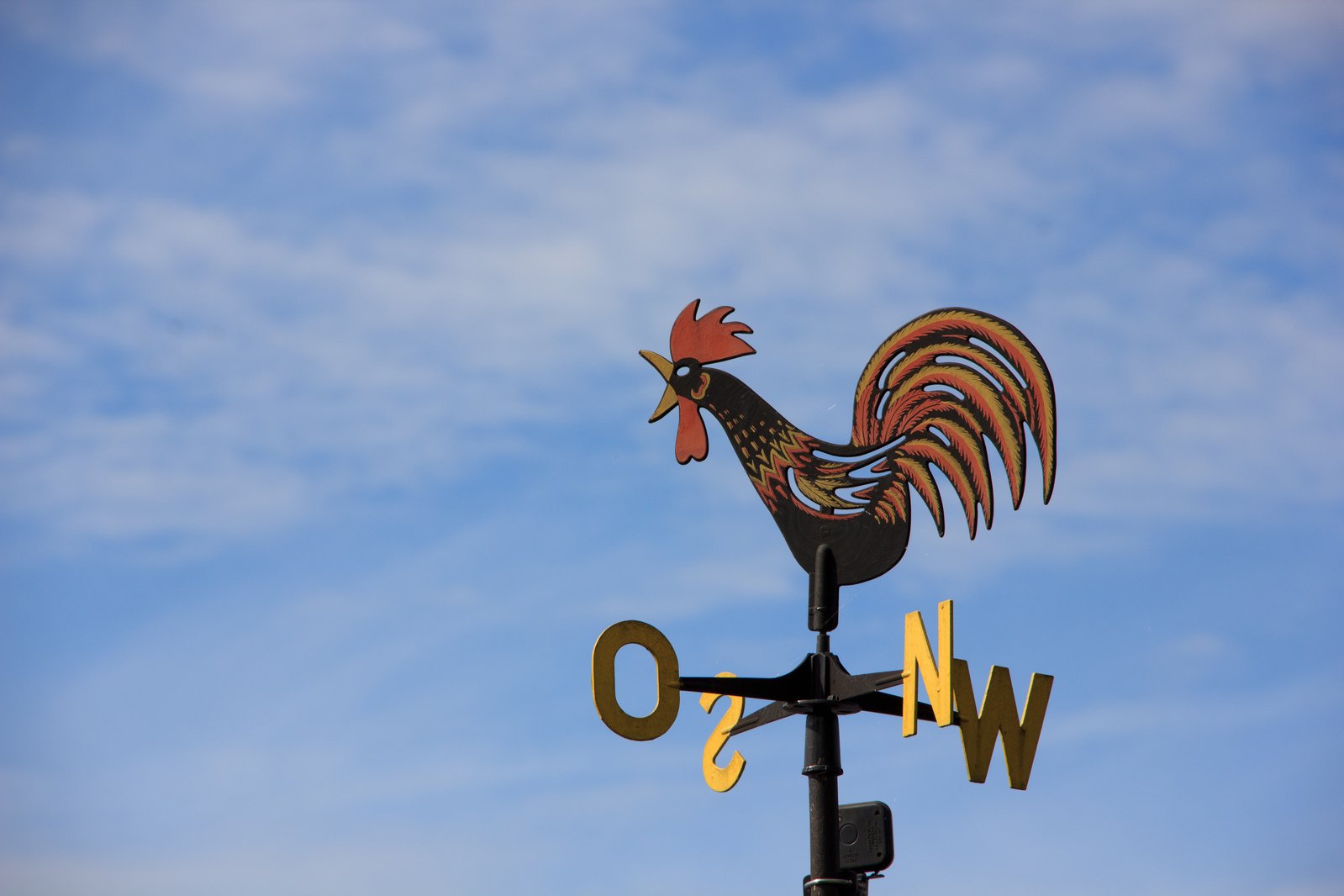 a chicken clock with the letter w o on it