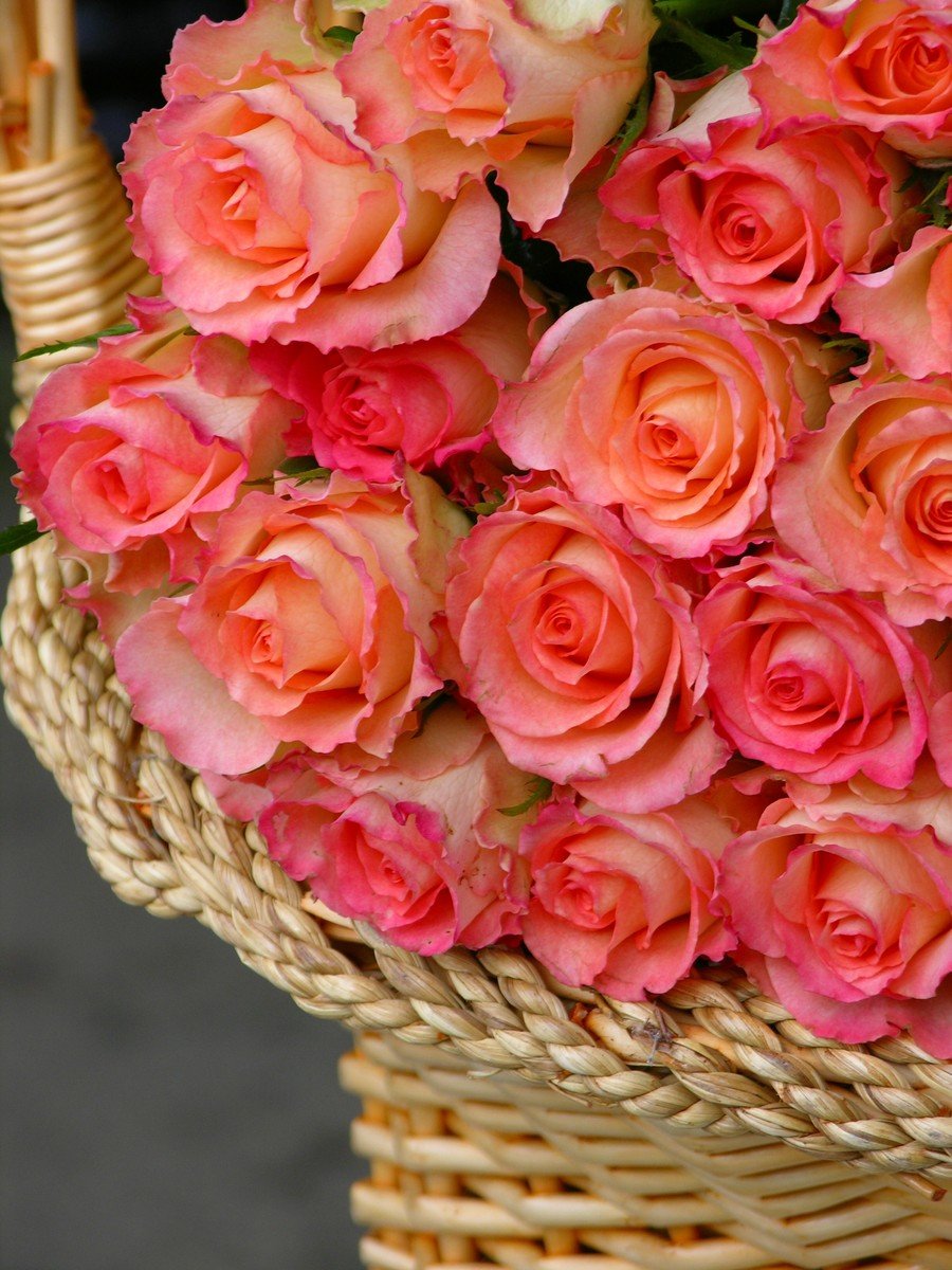 large bunch of pink flowers inside of a basket