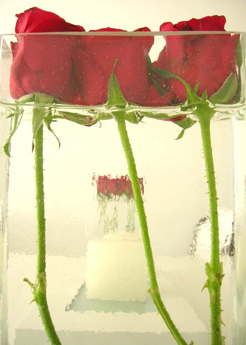 a vase filled with red flowers sitting on top of a table