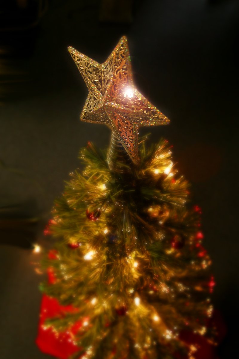 a small green christmas tree with lights