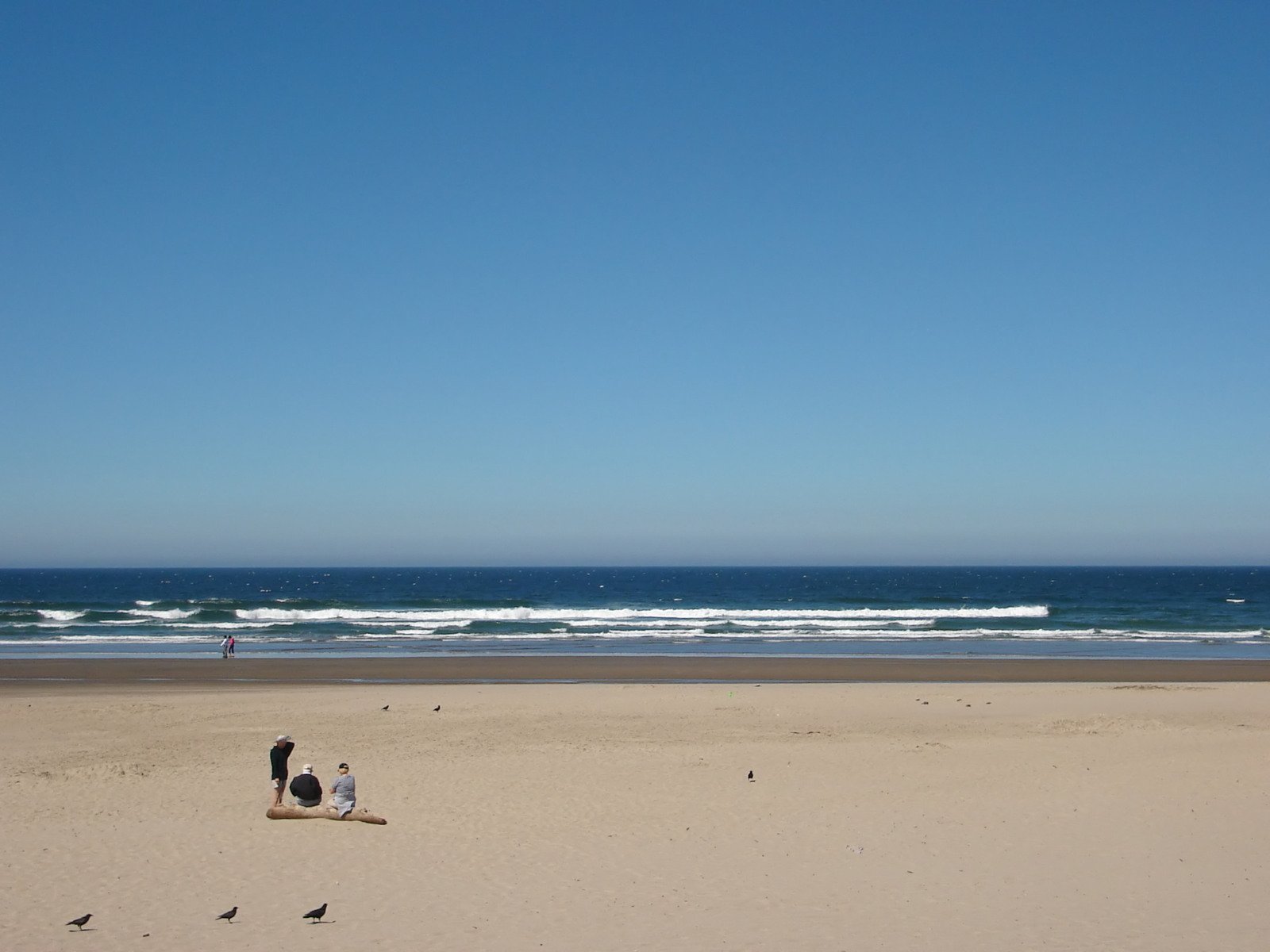 two people on the beach flying a kite