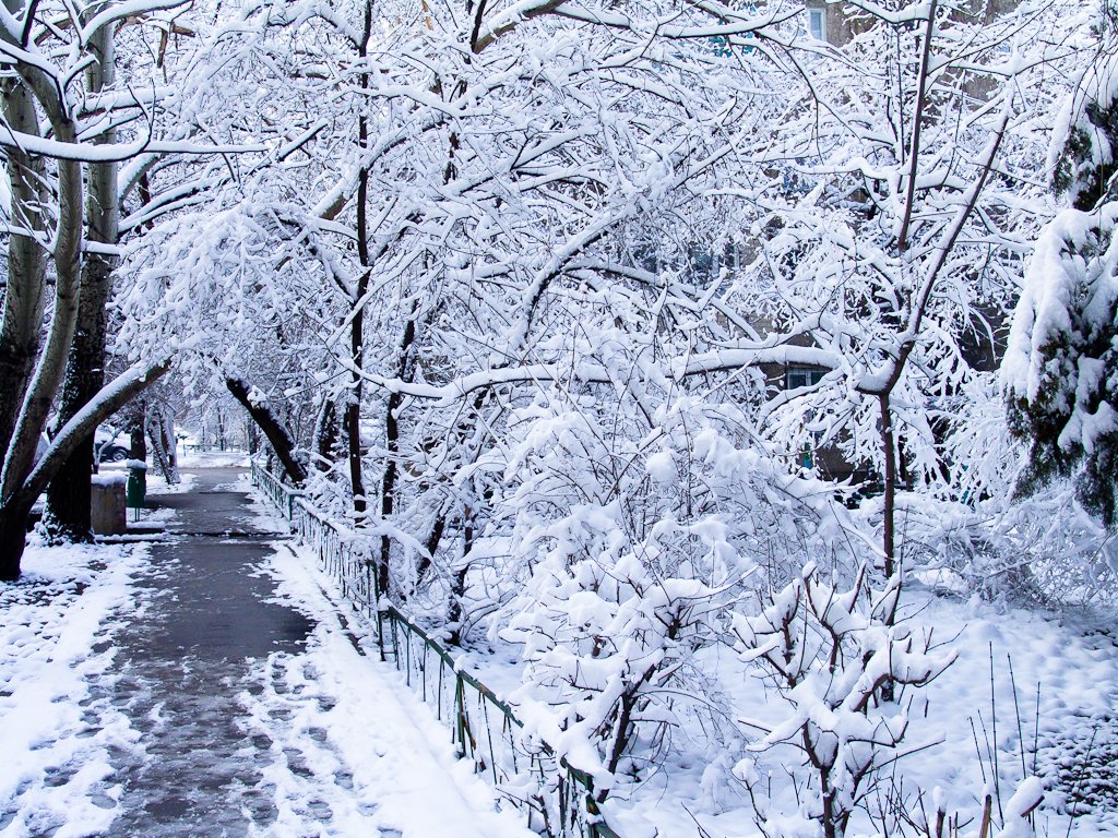 a path on the sidewalk in the snow