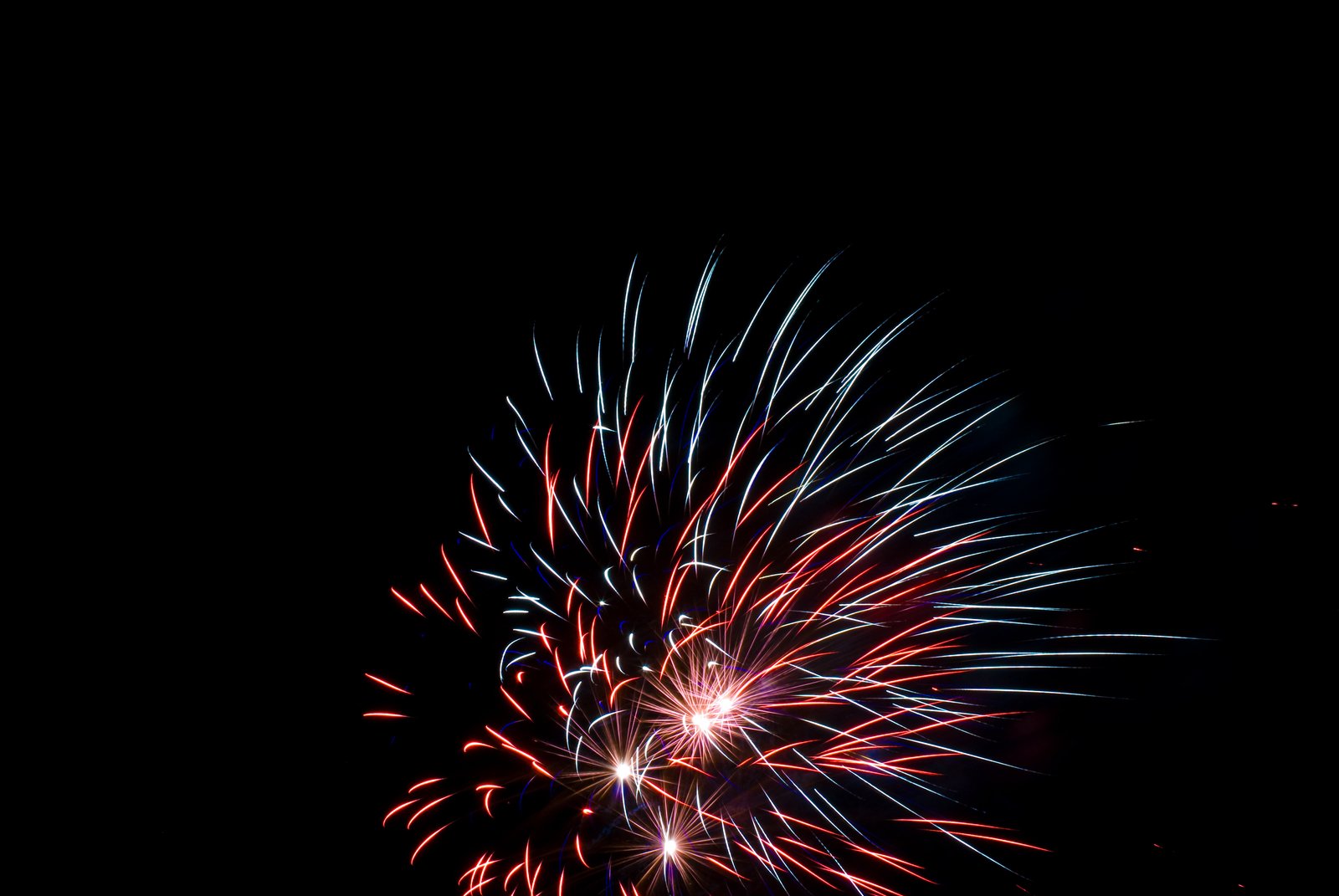 the colorful fireworks are very bright