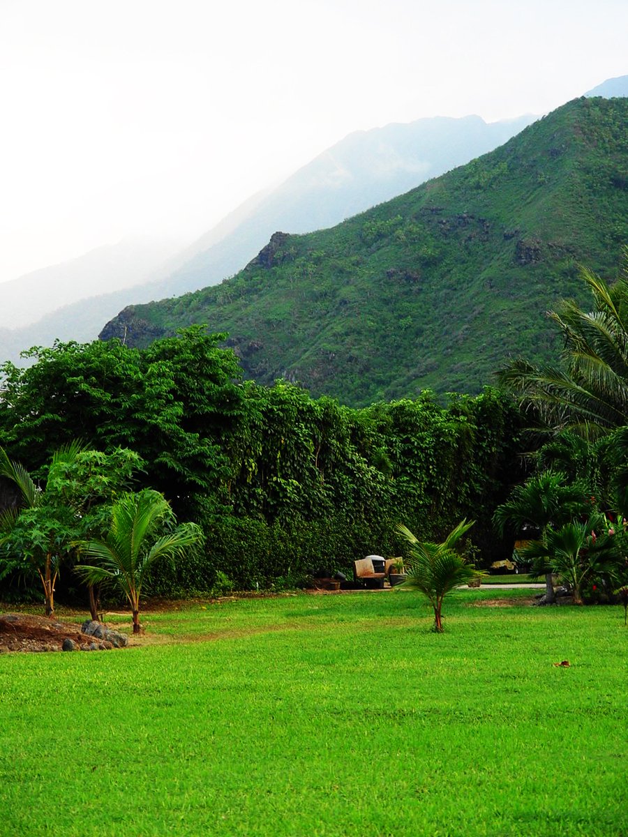 a lush green field with some mountains in the background