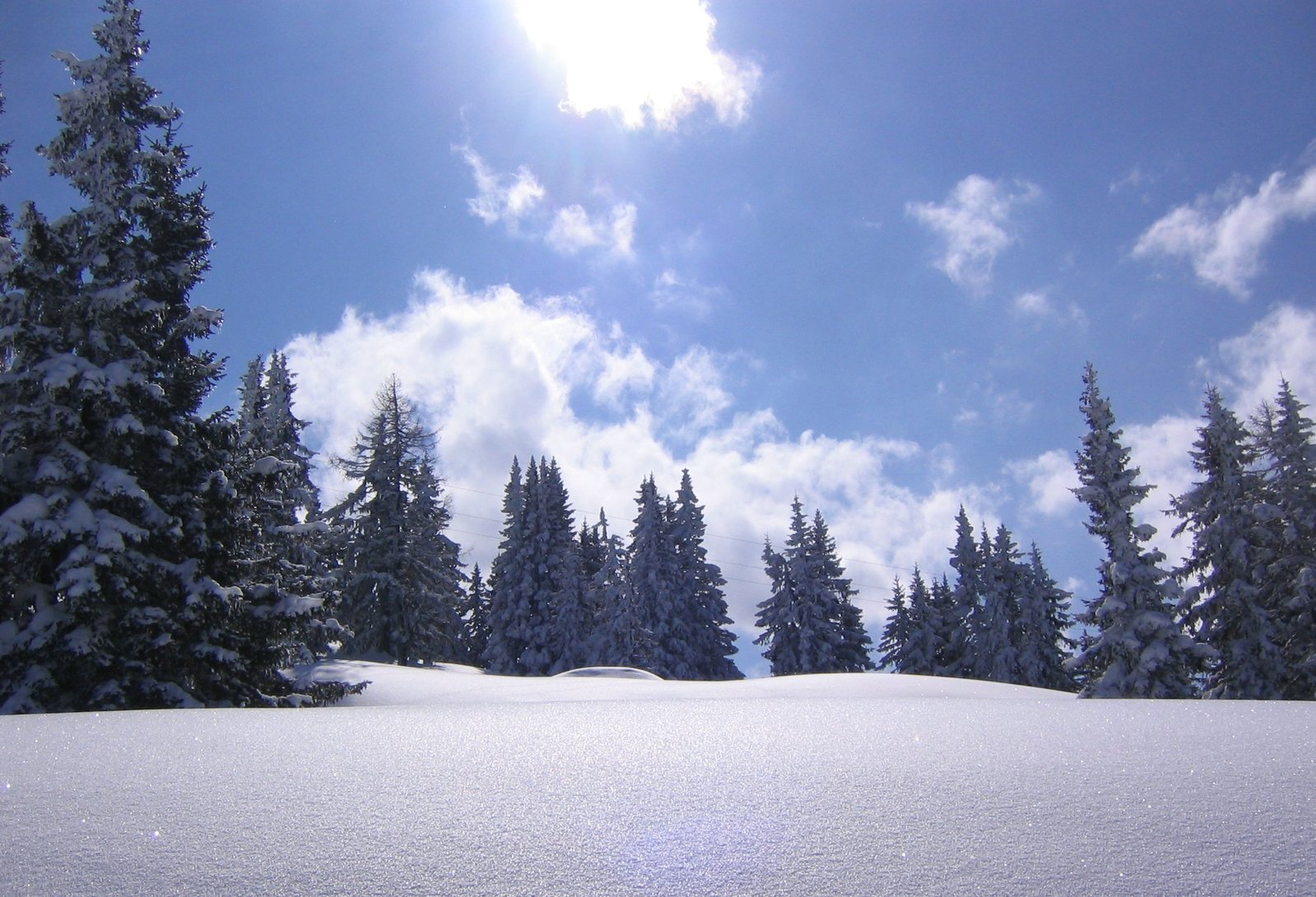 the sky is over the snow and trees