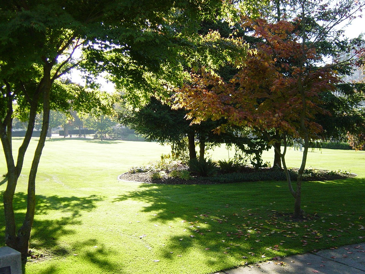 a park with green and orange trees in the middle