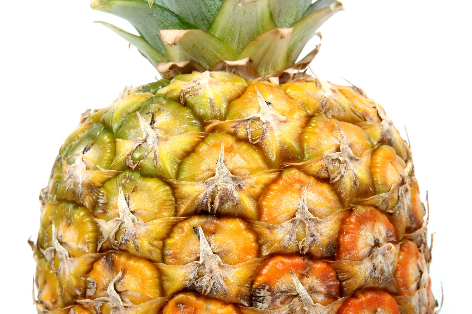 a close up of a pineapple fruit