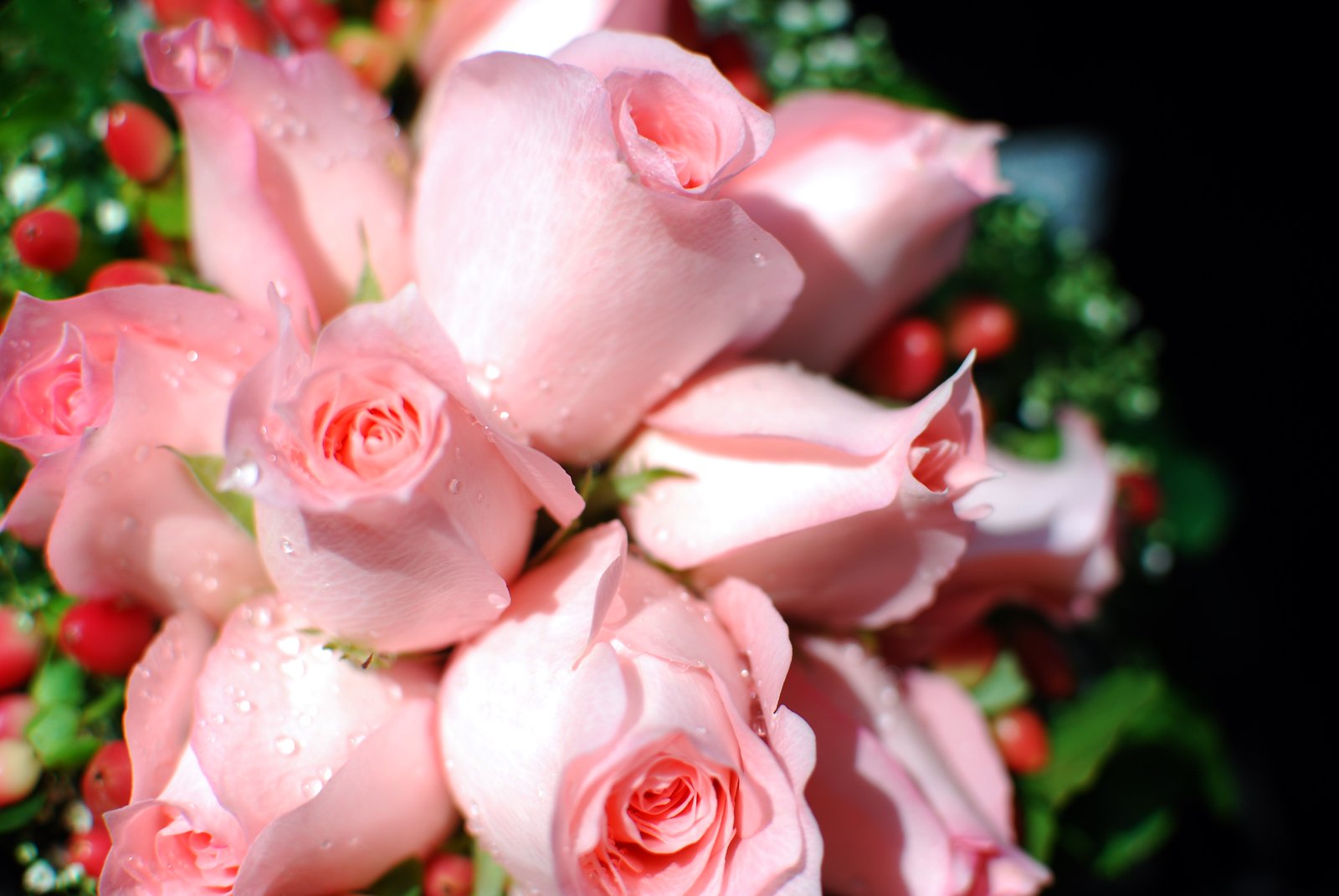 this is a close up image of many pink roses