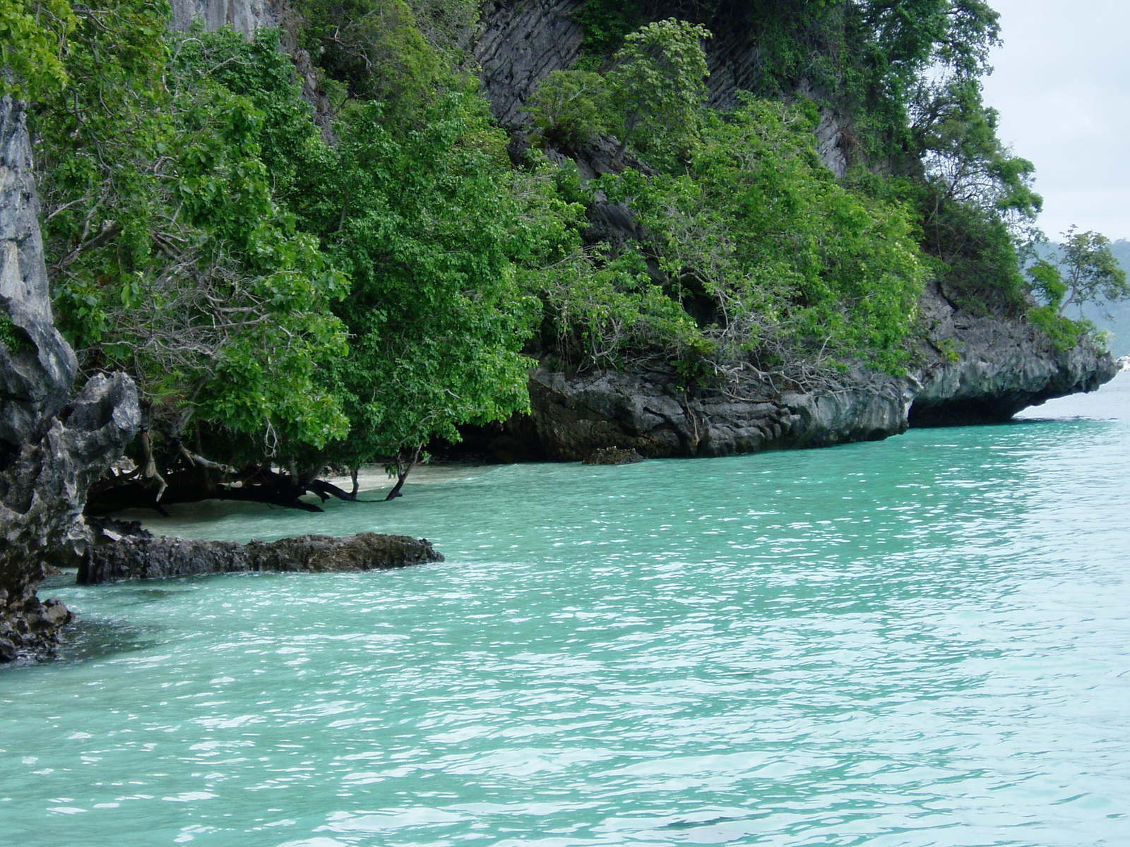 a large body of water surrounded by trees