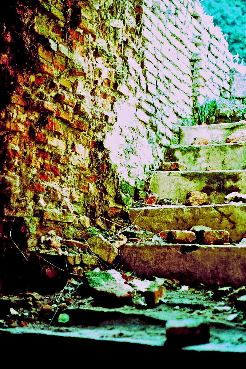 an empty stairway in an abandoned brick building