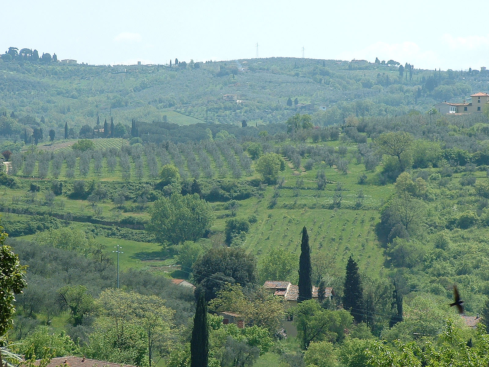 a view of some hills, with trees and buildings
