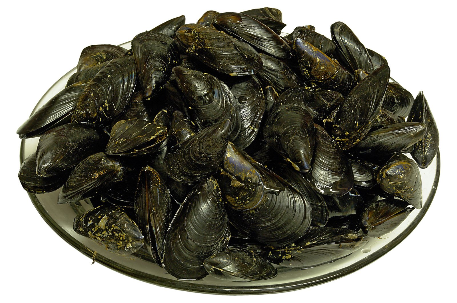 a bowl filled with lots of mussels sitting on top of a table