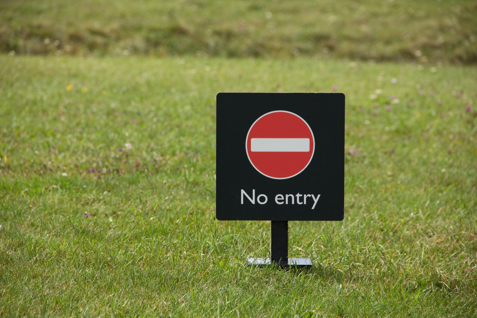 there is a sign in the grass that says no entry
