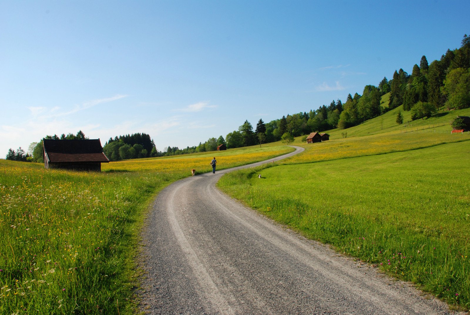 a road leading to some houses next to the countryside