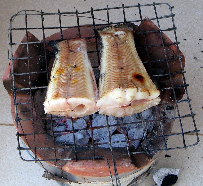 two fish sitting on top of a grill