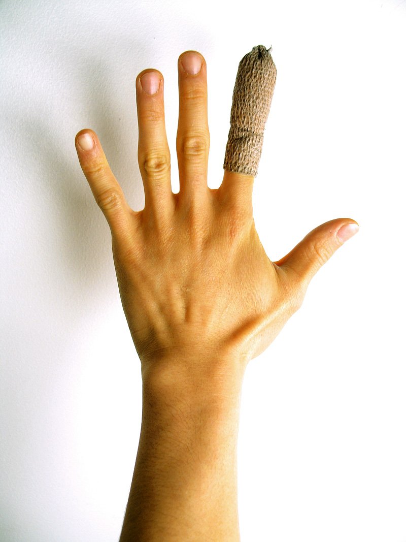 a person holding up a brown object in their left hand
