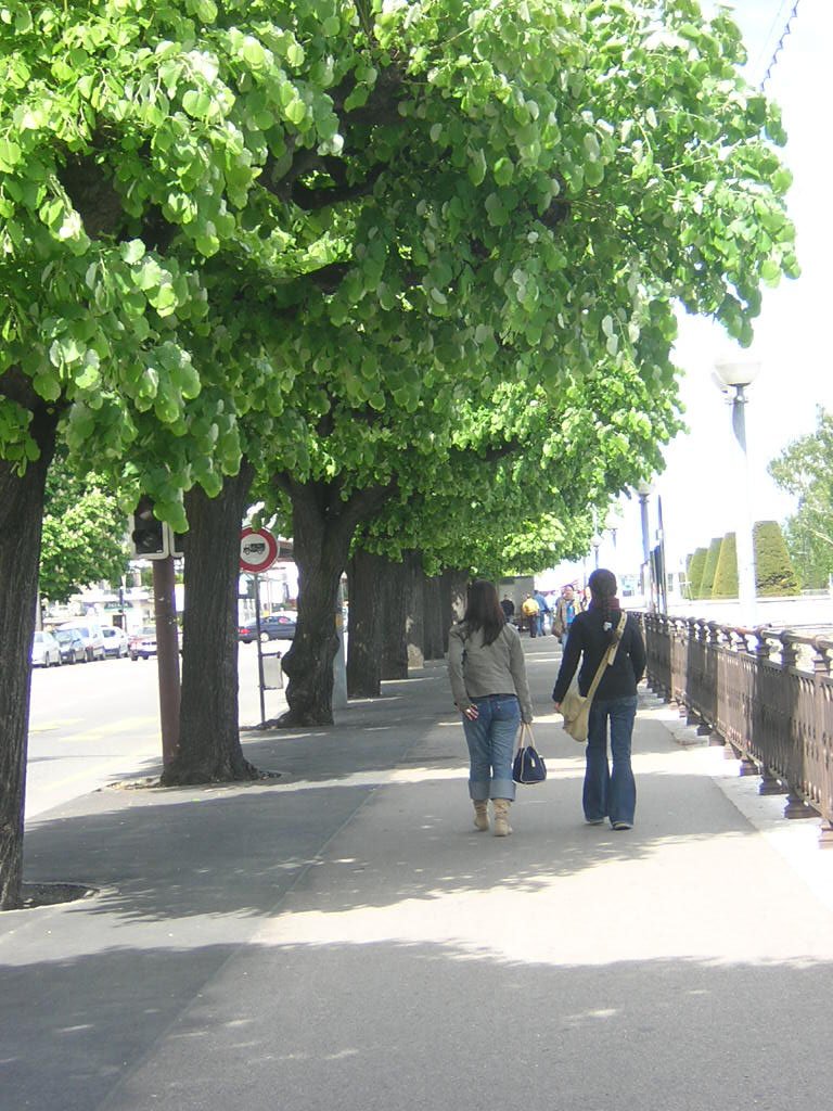 two young women walking down a sidewalk with tall trees