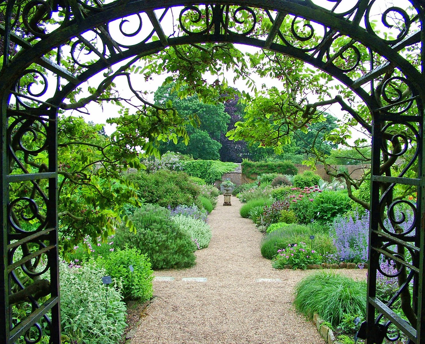 a stone path is leading through a garden