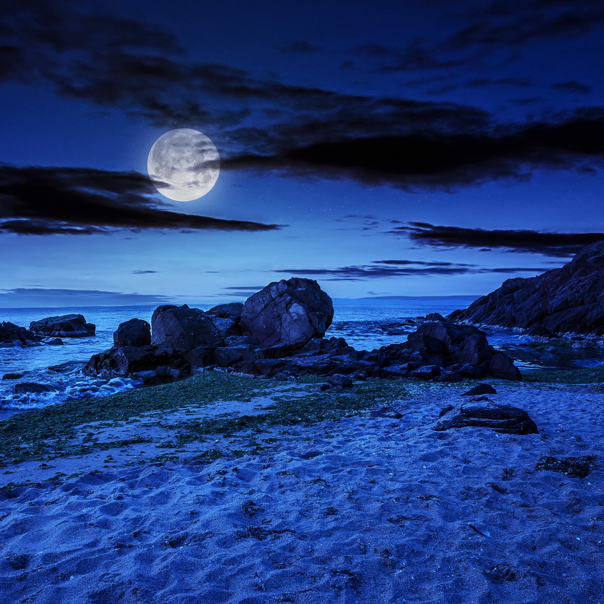 a full moon over the ocean at night with rocks and grass