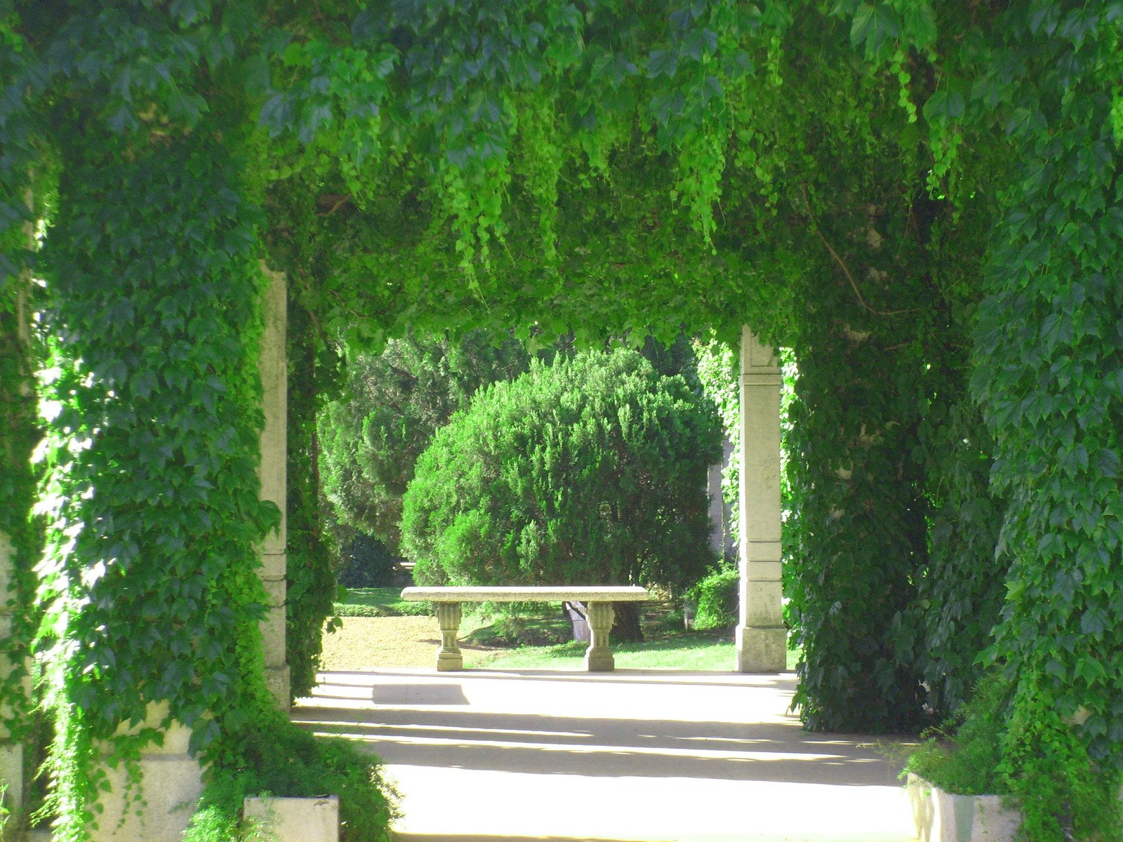 a bench under the trees in an outdoor park