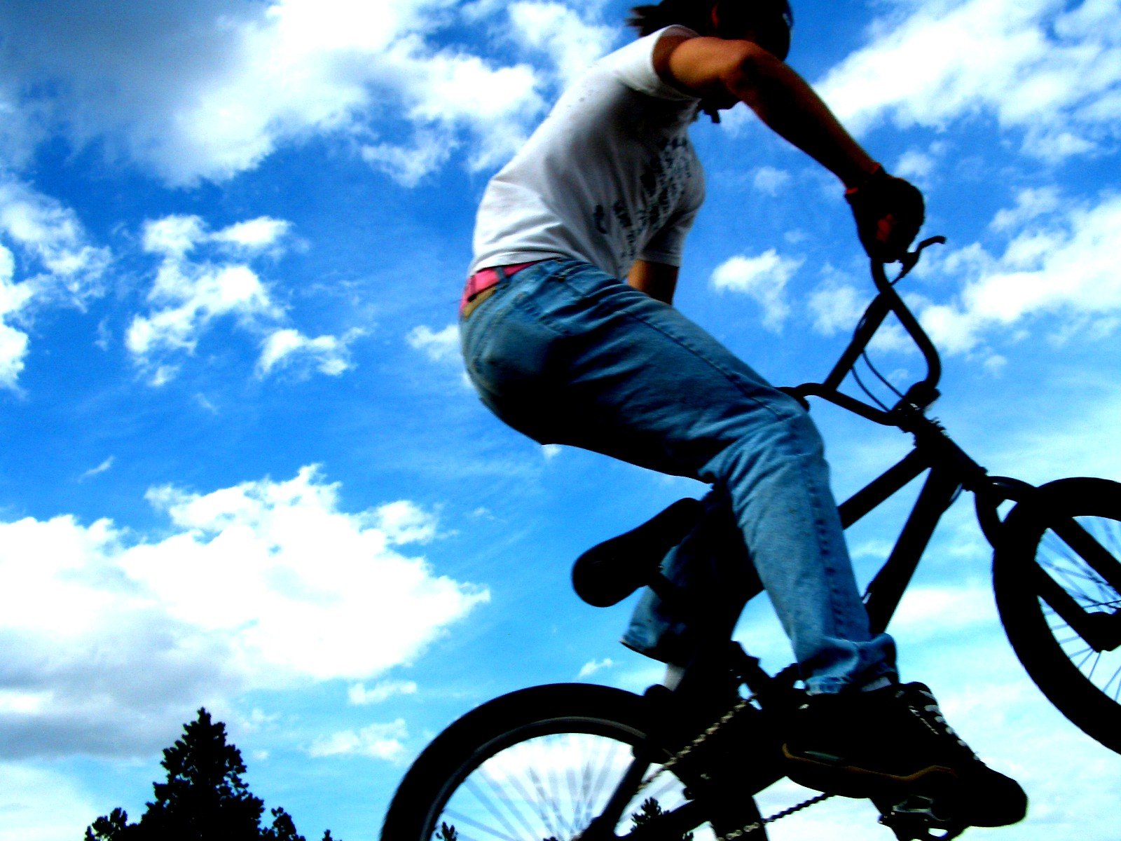 a person riding a bike doing tricks in the sky