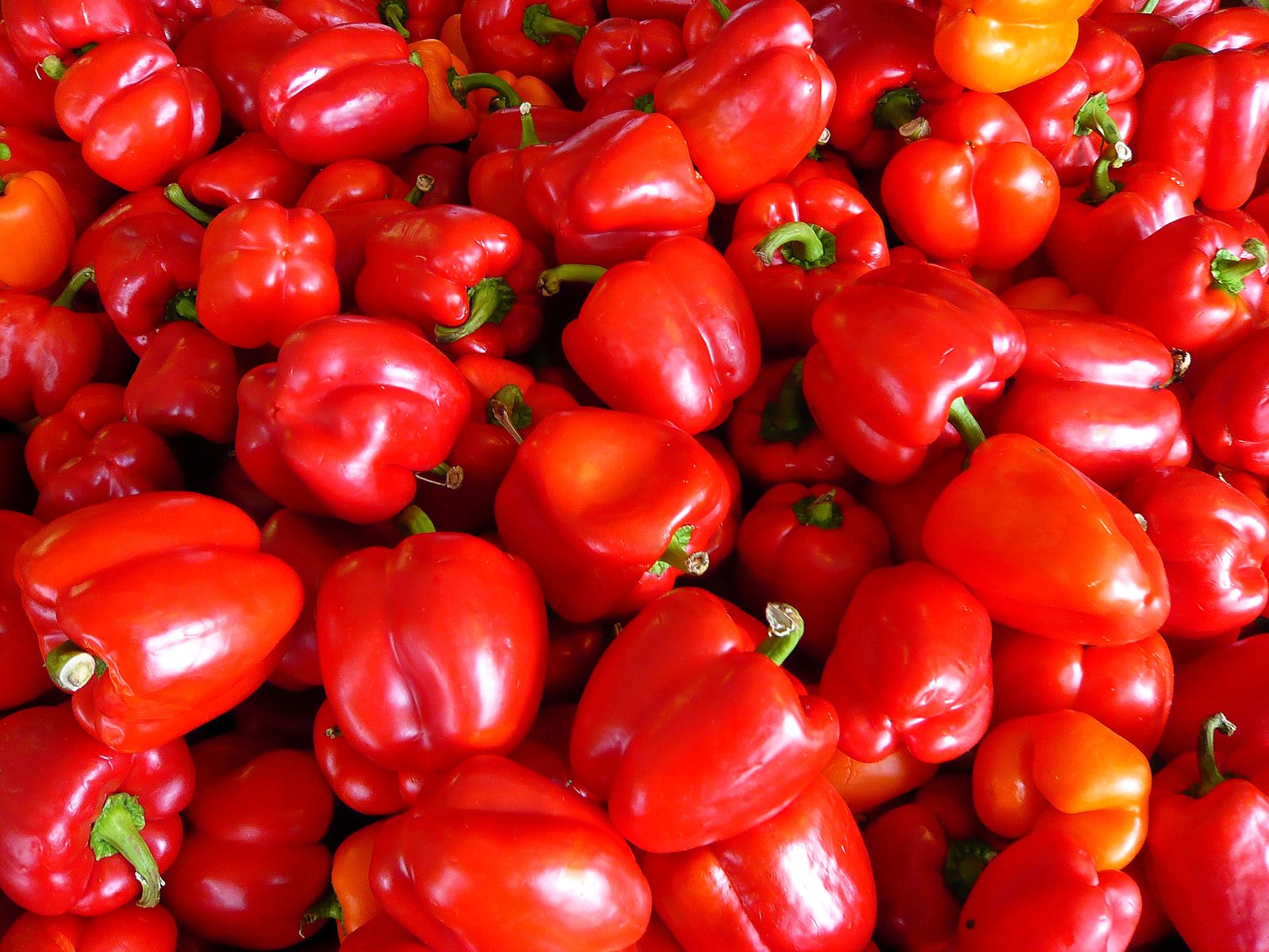 a large pile of red and orange peppers