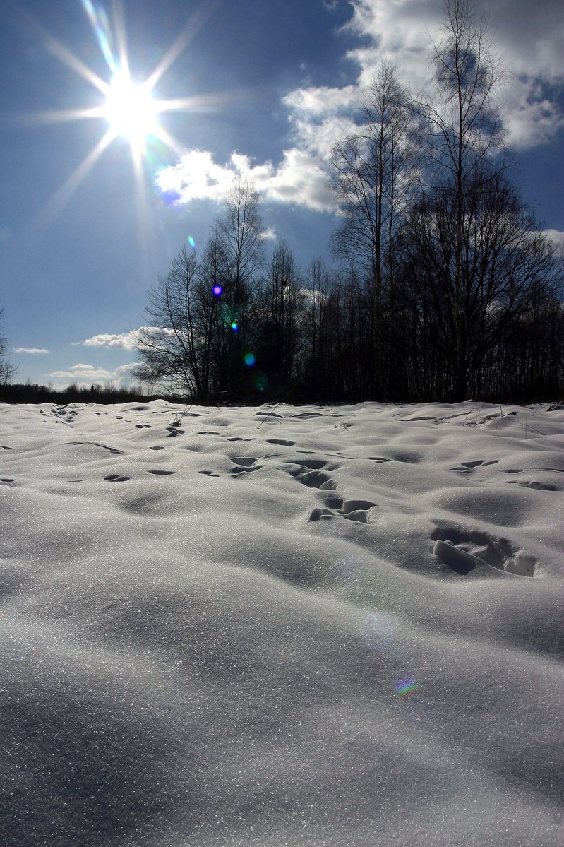 a sun and snow covered field under a cloudy sky