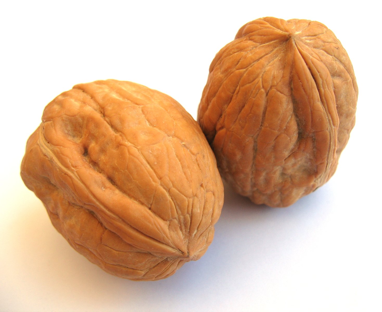 two walnuts sit next to each other on a table