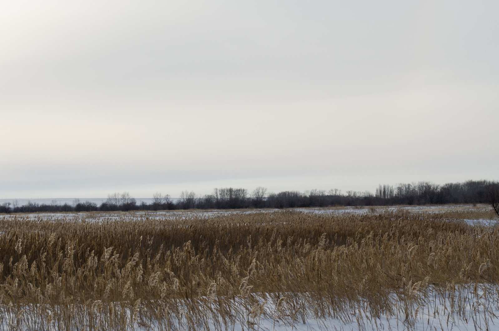 an image of a view of a marsh that has snow on it