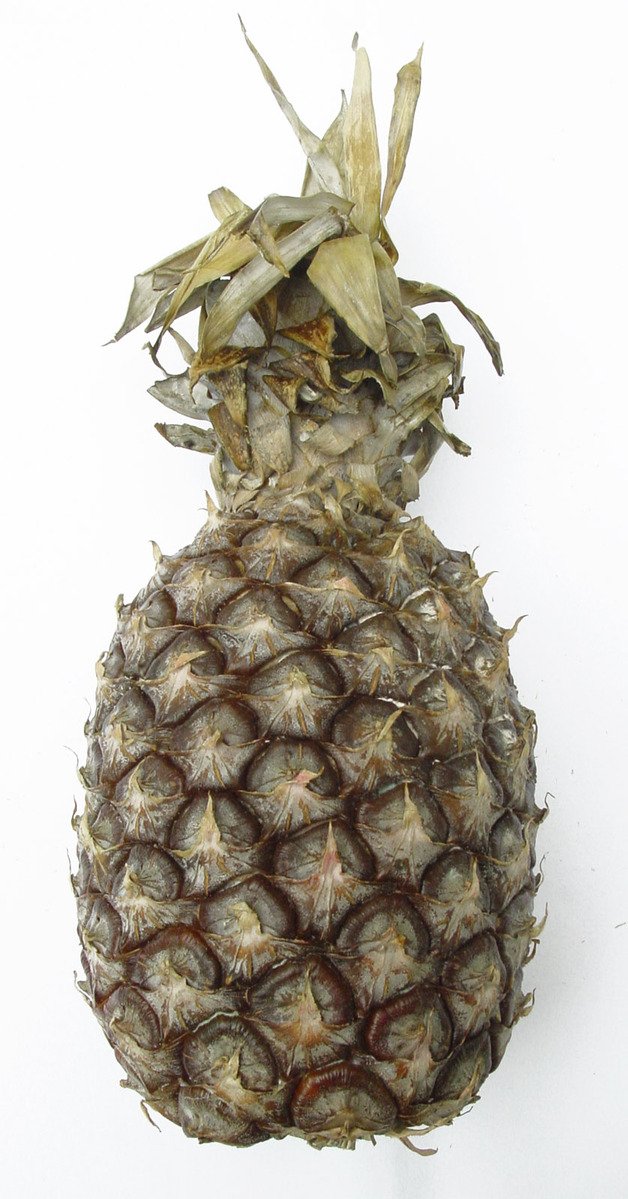 a pineapple that has a small flower on top