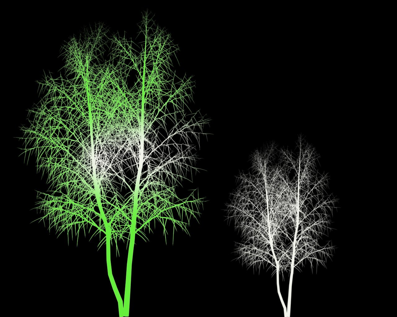 three leafless trees in the dark are glowing