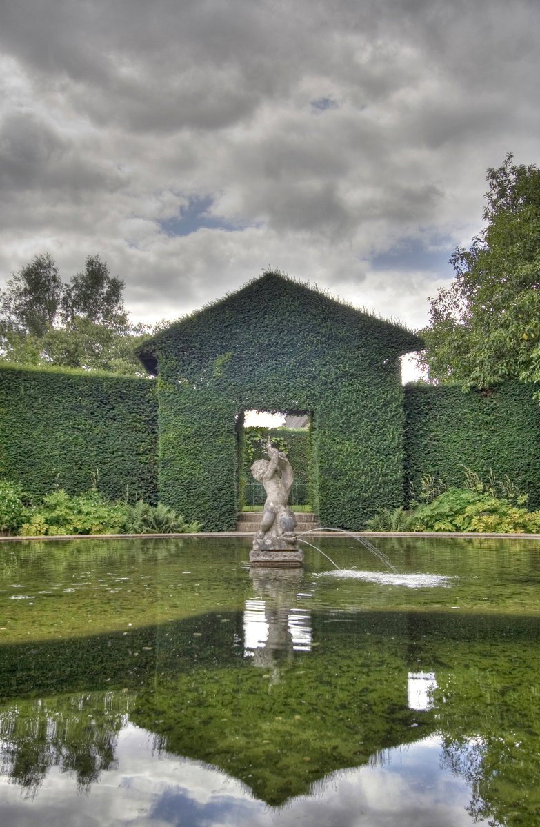 the reflection of a building and some bushes on the water