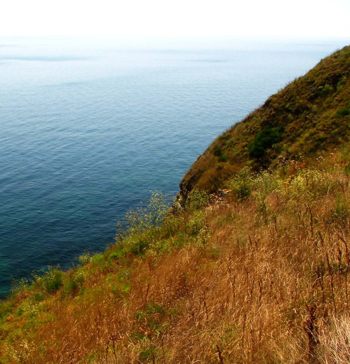 a lone man riding down the hillside next to the ocean