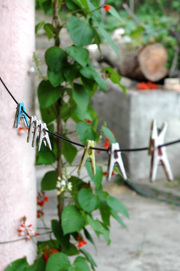 letters are attached to a clothesline outside