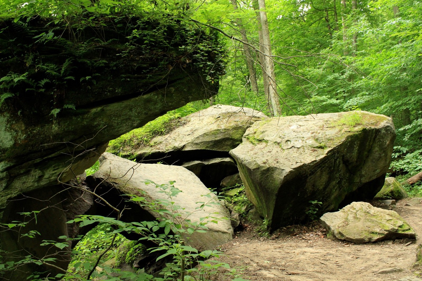 some large rocks in the middle of a forest