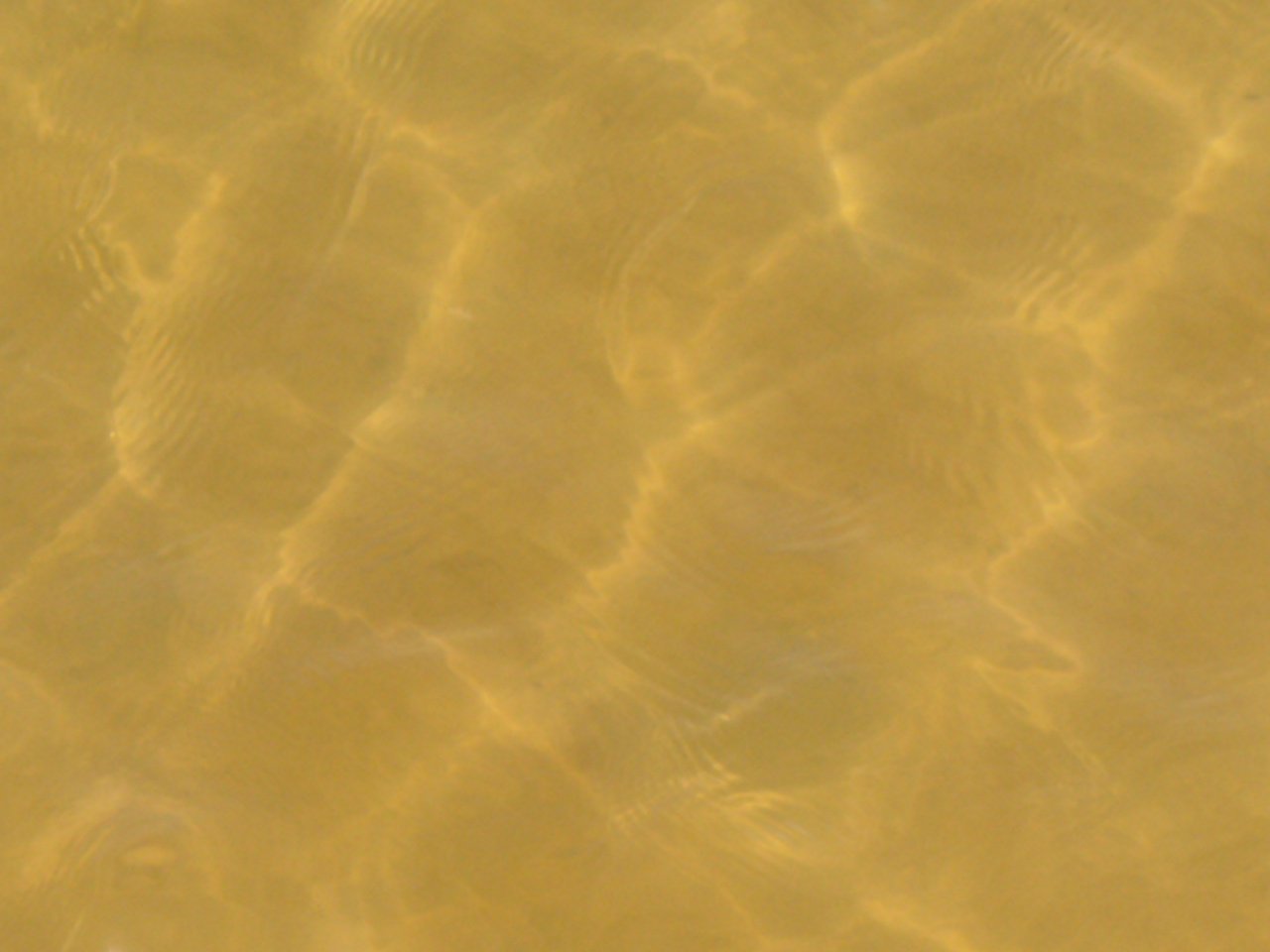 a close up view of the water from under the beach