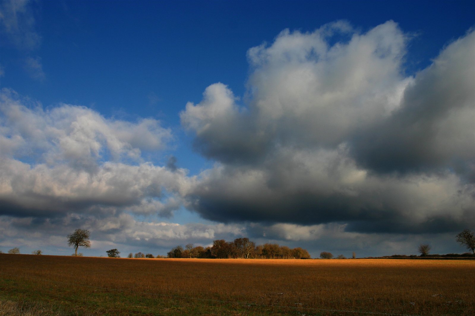 a cloudy sky over an open field of crops