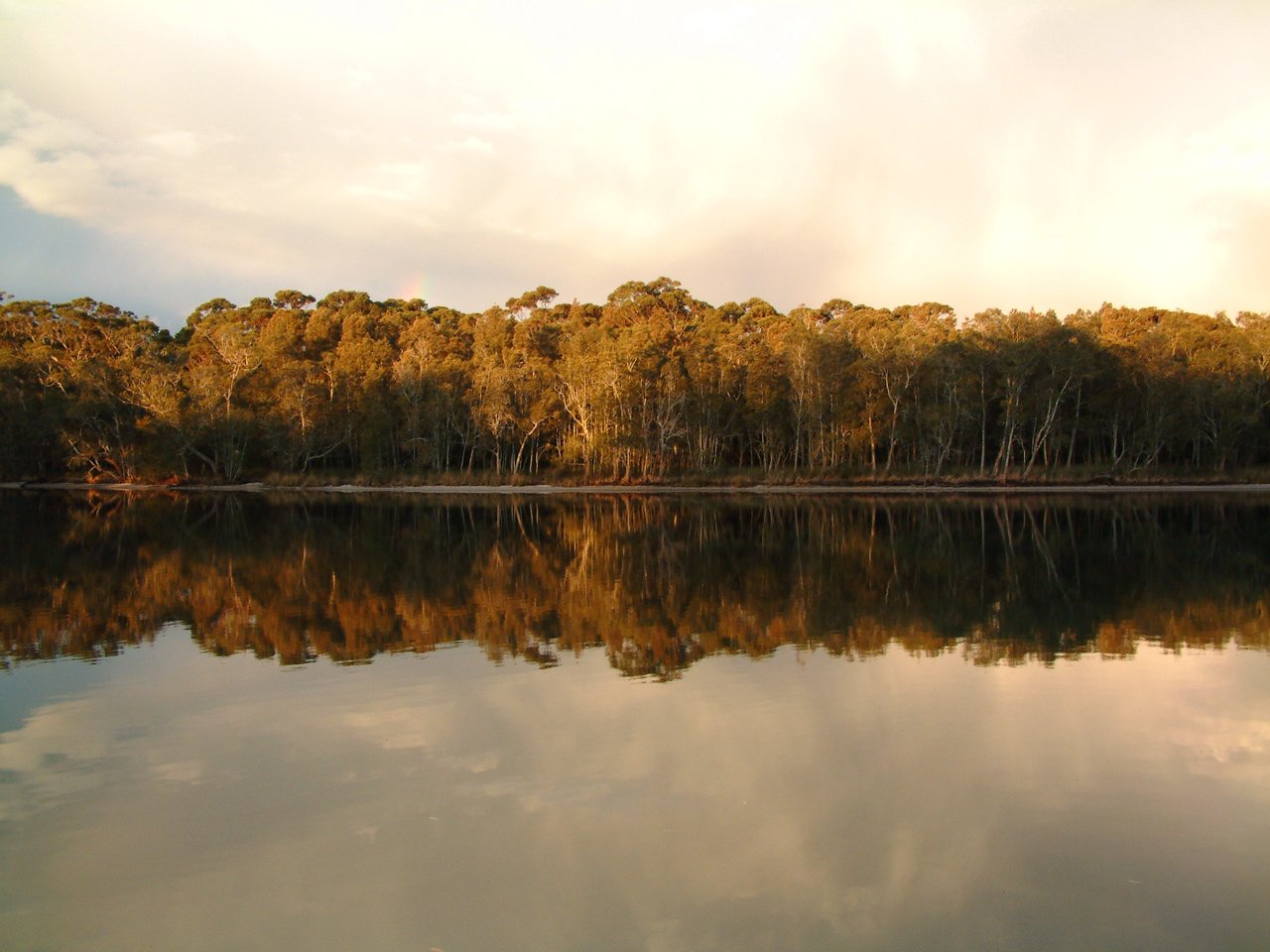 a peaceful tree filled lake with reflections on the water