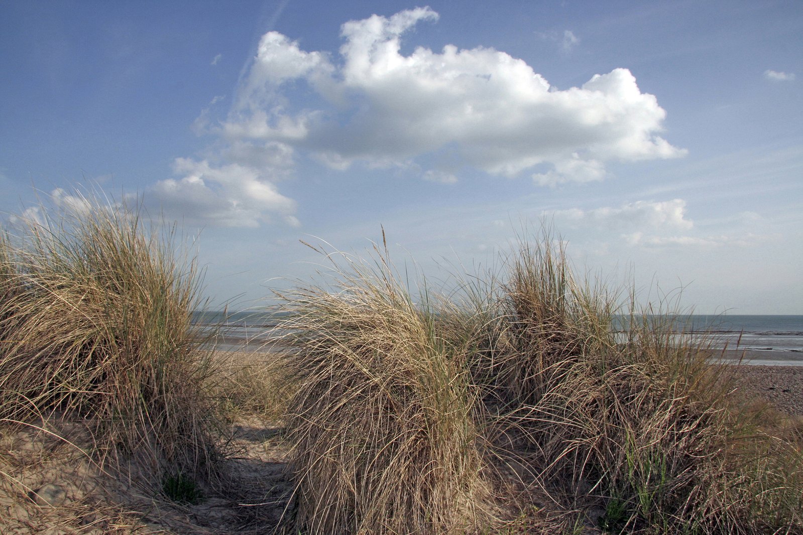 a beach with two sand dunes covered in grass