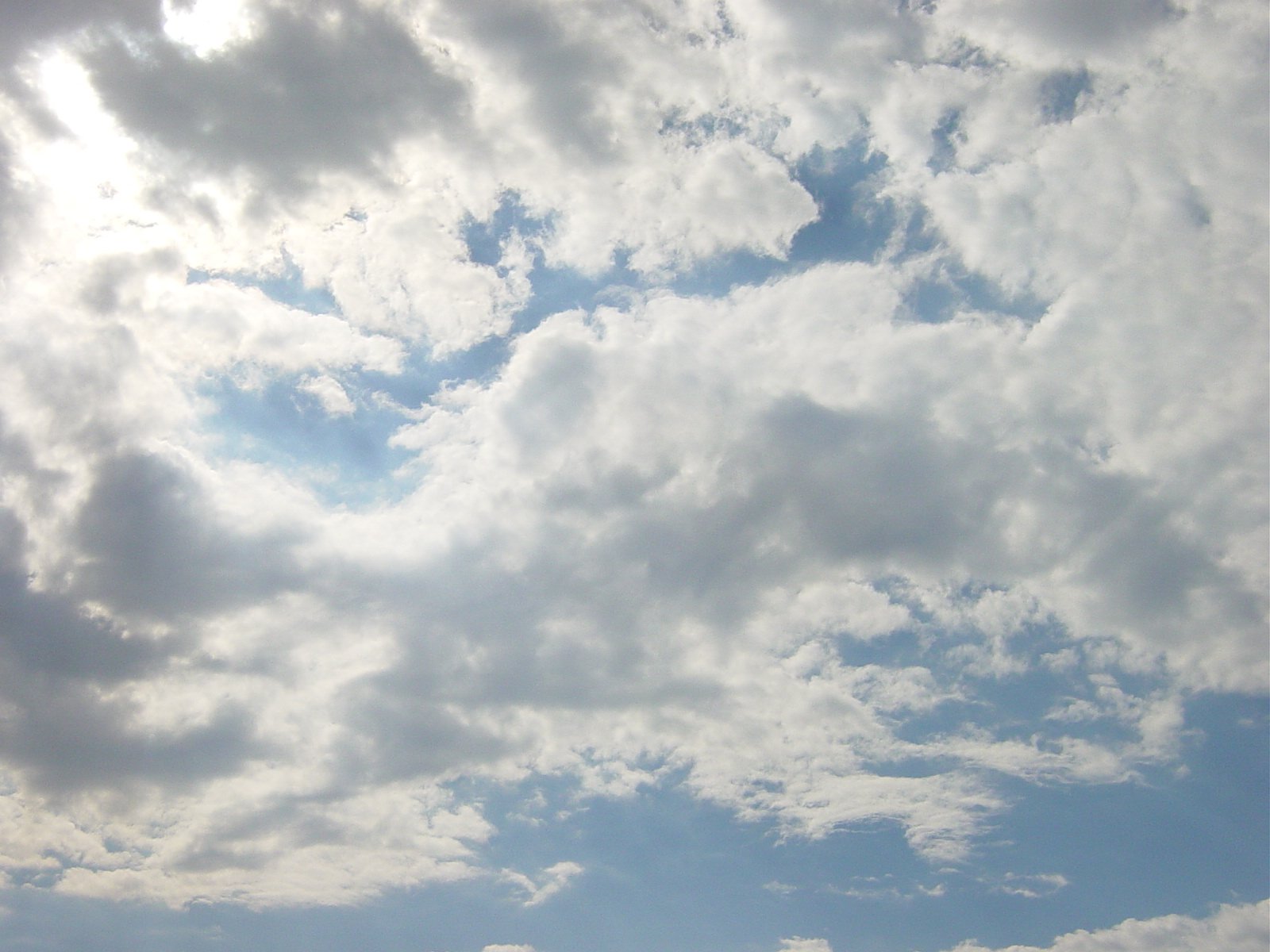 a large group of white clouds flying over the sky