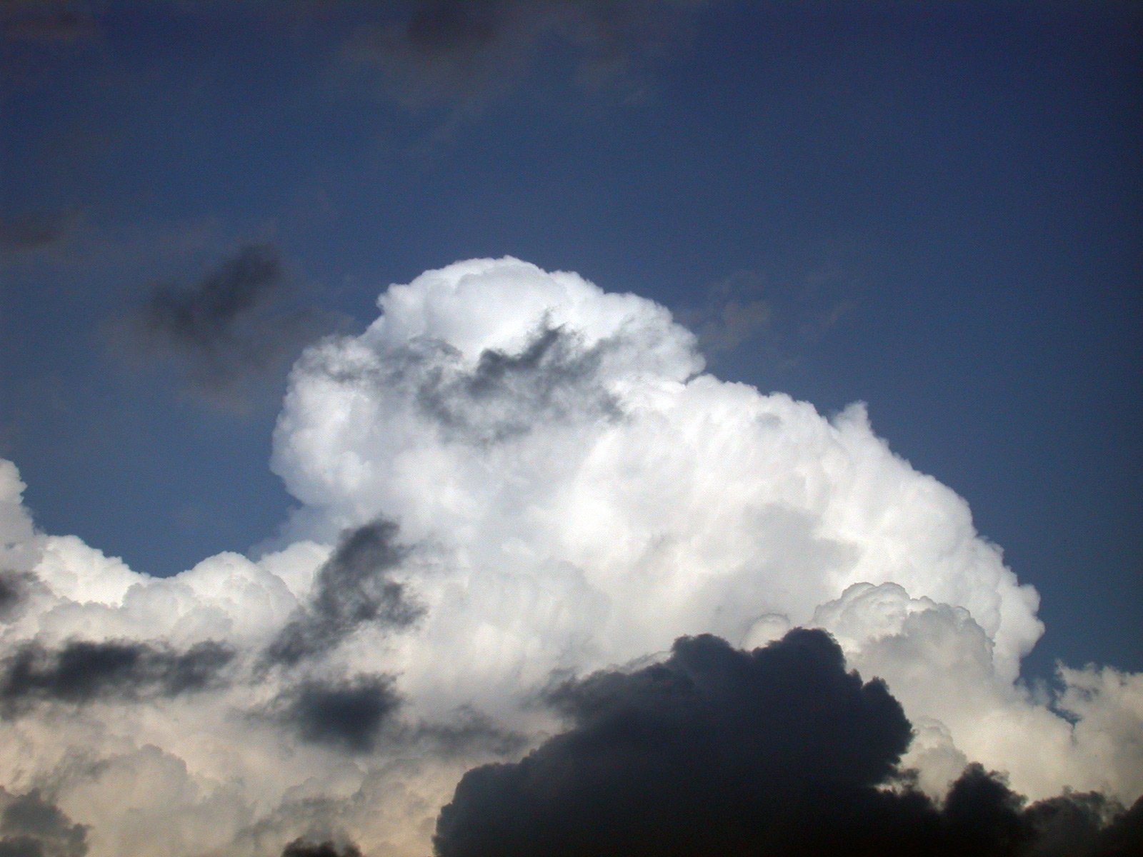 a bunch of clouds float in the sky