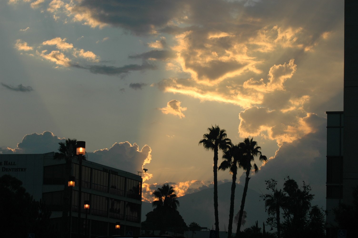 a sunset view with clouds and palm trees