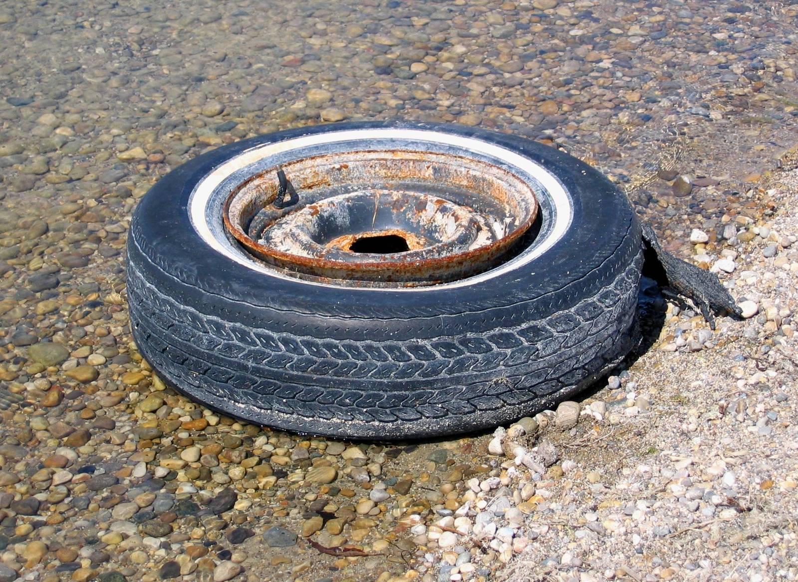 a tire and spoke from an old automobile on the edge of the water
