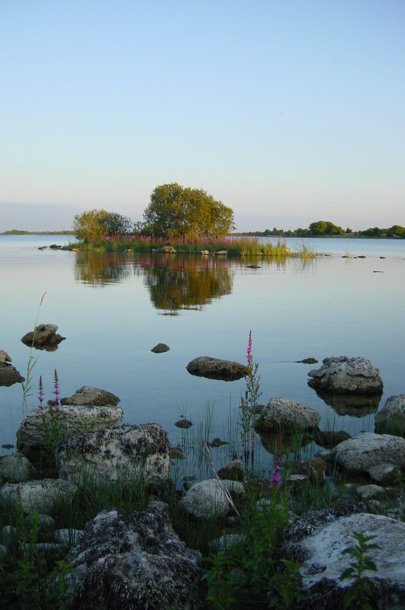 a large body of water near rocks and grass