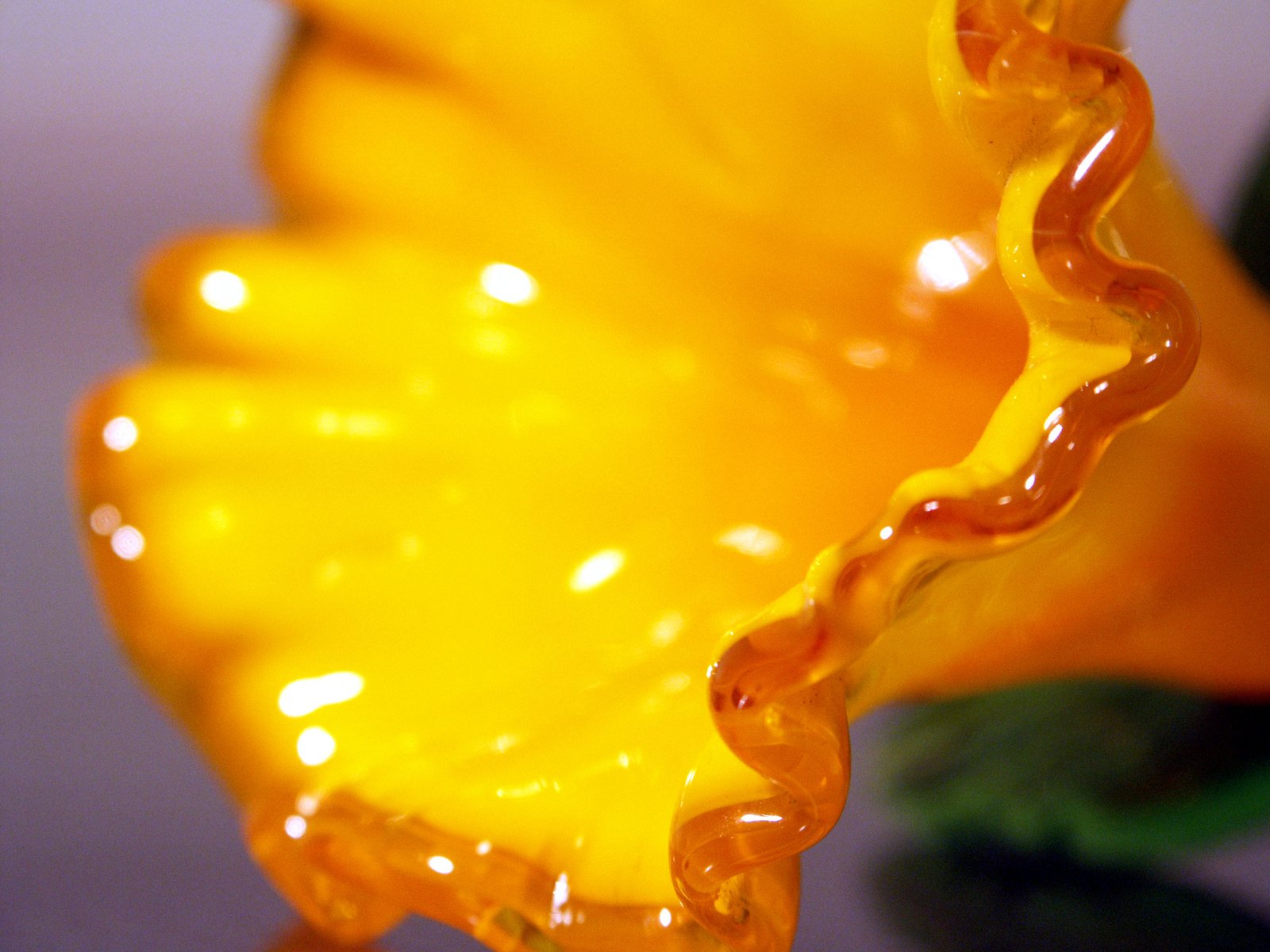 a close up of a flower with water droplets