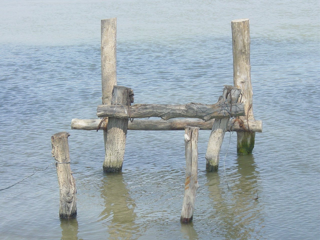 some wooden pillars are in the water by a dock