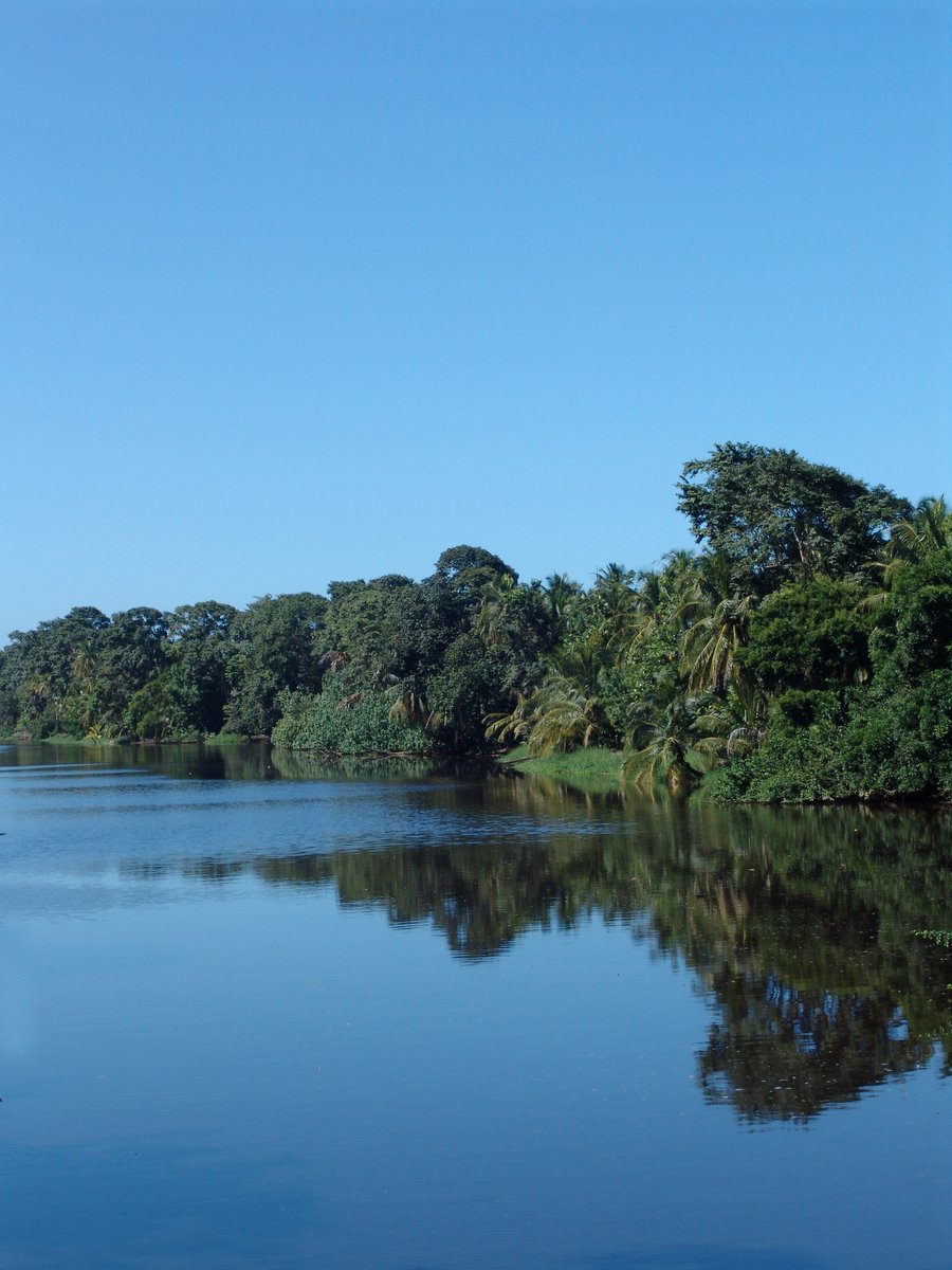 a canoe on a calm river surrounded by lush green trees