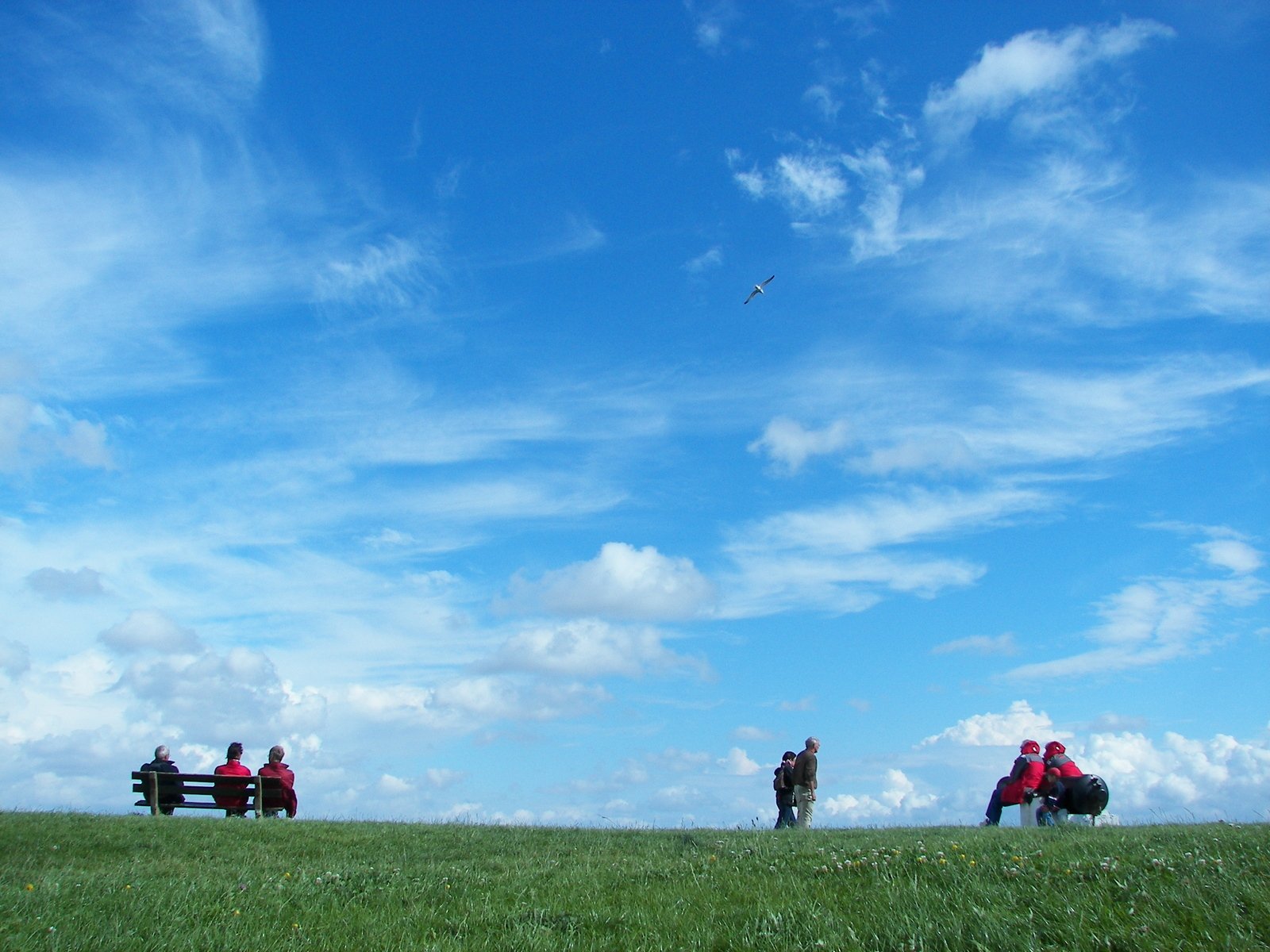 a group of people in a grassy area are flying a kite